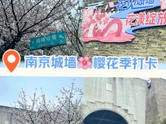 -南京城墙景区