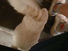 -张记牛肉面馆(天津路店)