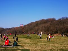 -羊山湖公园