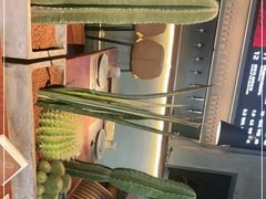 -West10 西拾·西餐厅·创意菜(未来科技城店)