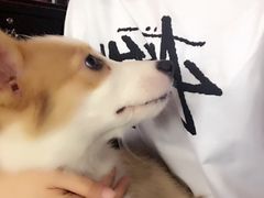 -Nirvana Fitness健身工作室