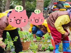 -小风车金桥丽都幼儿园(金桥店)