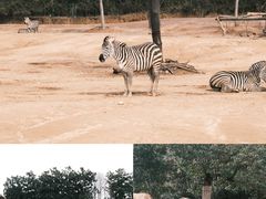 -杭州野生动物世界