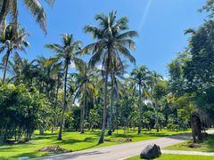 -中国科学院西双版纳热带植物园
