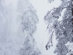 -瓦屋山景区