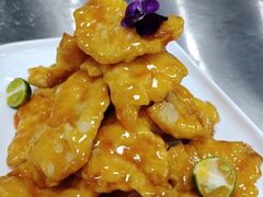 -邵年鸽(杨庄店)