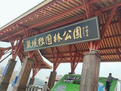 -张坝桂圆林公园