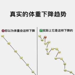 -香薇妮丝·定制减肥·身材管理