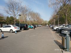 -大兴滨河森林公园