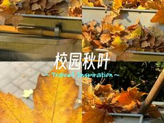 -东莞植物园
