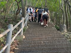 -紫金山山顶公园
