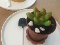 -CHEZ JASMINE 茉莉的氧气厨房