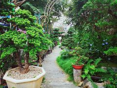 -The Flowers Coffee(南山店)
