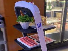 -蒙都43°9羊火锅·赤峰美食(宁城店)