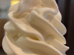 -麦当劳(曲阳店)