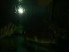 -合家小菜餐馆(新诚花苑店)