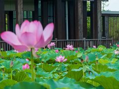 -江苏三台山国家森林公园