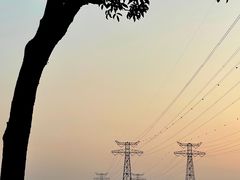 -宝安西湾红树林湿地公园