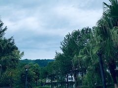 -雅安楠水阁温泉酒店