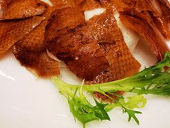 -新世纪大酒楼·30年南海菜