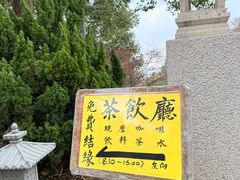 -庐山风景名胜区-东林大佛