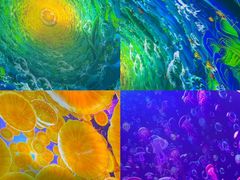 -海合安天津极地海洋公园