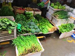 -鑫朱雀农贸批发市场