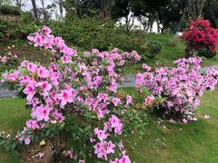 -东莞植物园