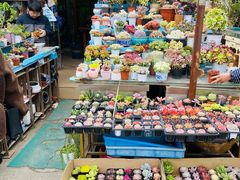 -平吉花卉市场