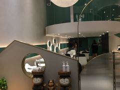 -飞行喵MR PILOT|猫舍·猫咖(静安大融城店)