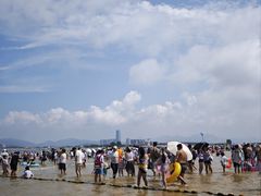 -养马岛旅游度假区