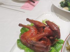 -绿雅酒家(江西中路店)