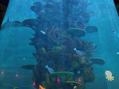 -青岛嘉年华主题乐园