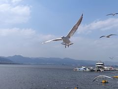 -海埂大坝