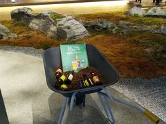 -Seesaw Coffee(朝阳大悦城店)