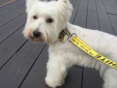 -UNI UNI(环亚凯瑟琳店)