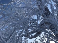 -雪谷