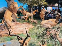 -国家自然博物馆