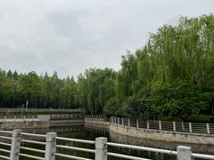 -后襄河公园