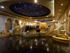 -乐山乌木文化博览苑