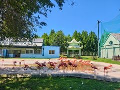 -秦皇岛野生动物园