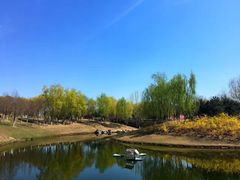 -大兴滨河森林公园