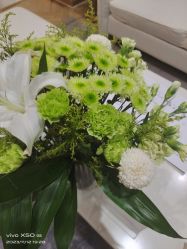 -HEYAN长风荷妍专业脱毛美肤
