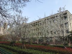 -青岛市图书馆