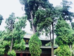 -报恩寺(平武县)