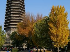 -玲珑塔公园