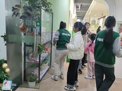 -学知乐教育·幼小衔接·小学科辅导(嘉定镇校区)