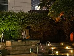 -深圳星河丽思卡尔顿酒店