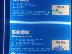 -石家庄海洋公园