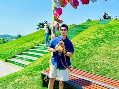 -南京银杏湖乐园